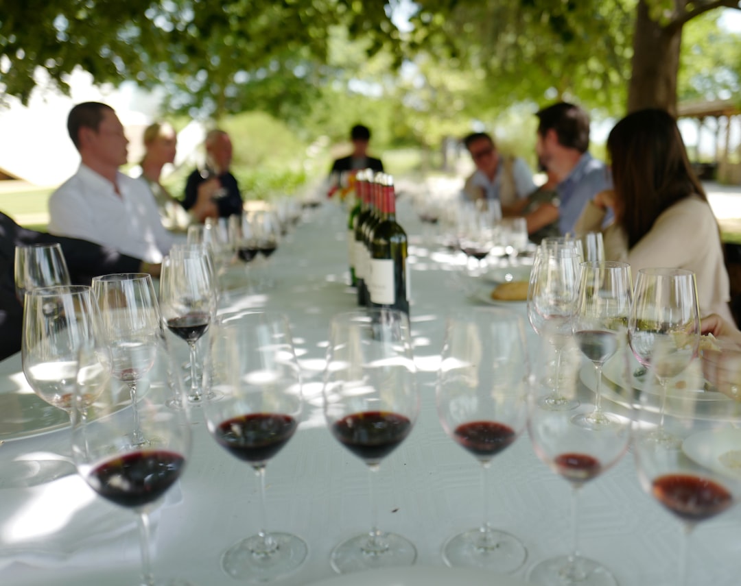Plongée au cœur des visites de vignobles à Bordeaux